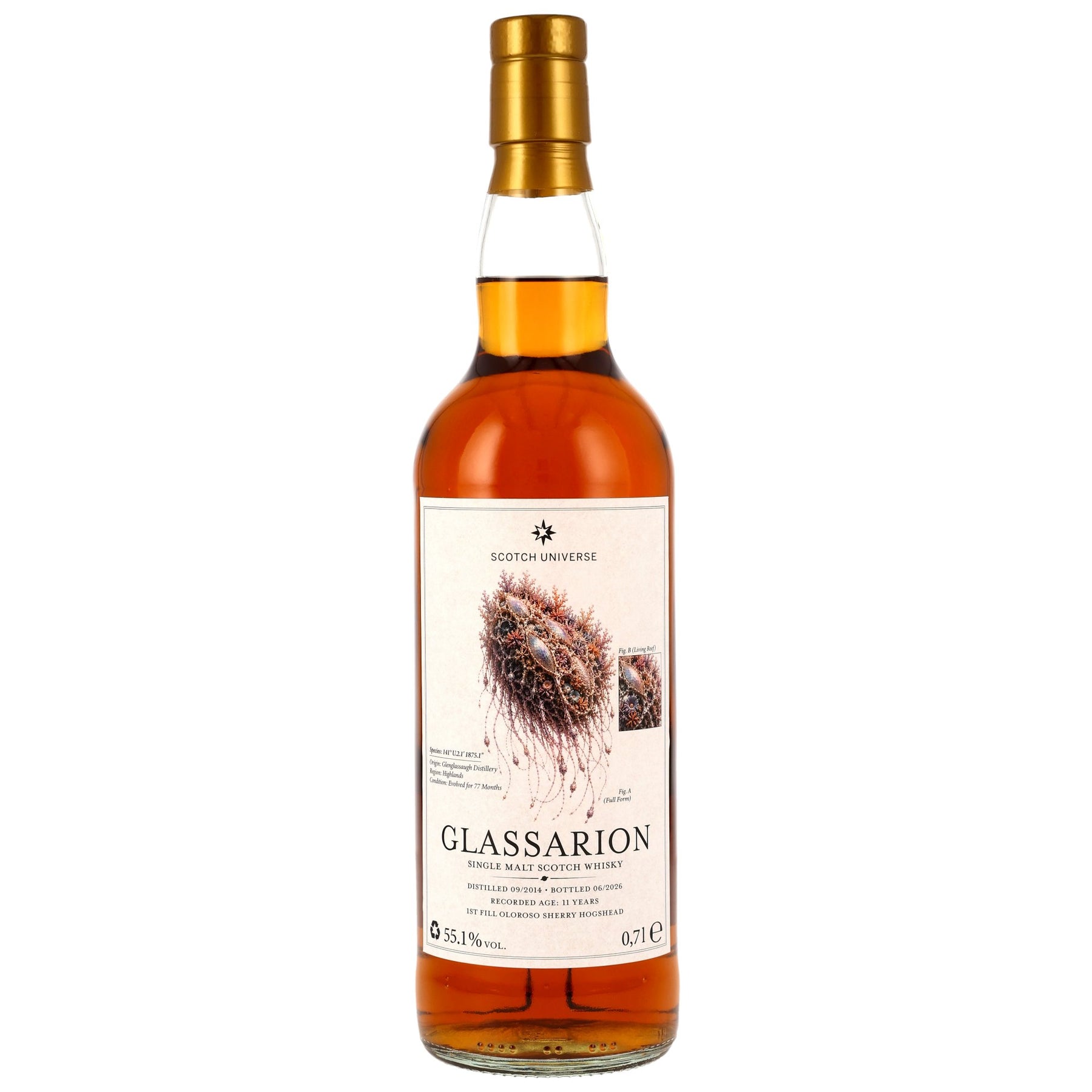 GLASSARION 2014/2026 - 11 Jahre - 1st Fill Oloroso Sherry Hogshead - Scotch Universe
