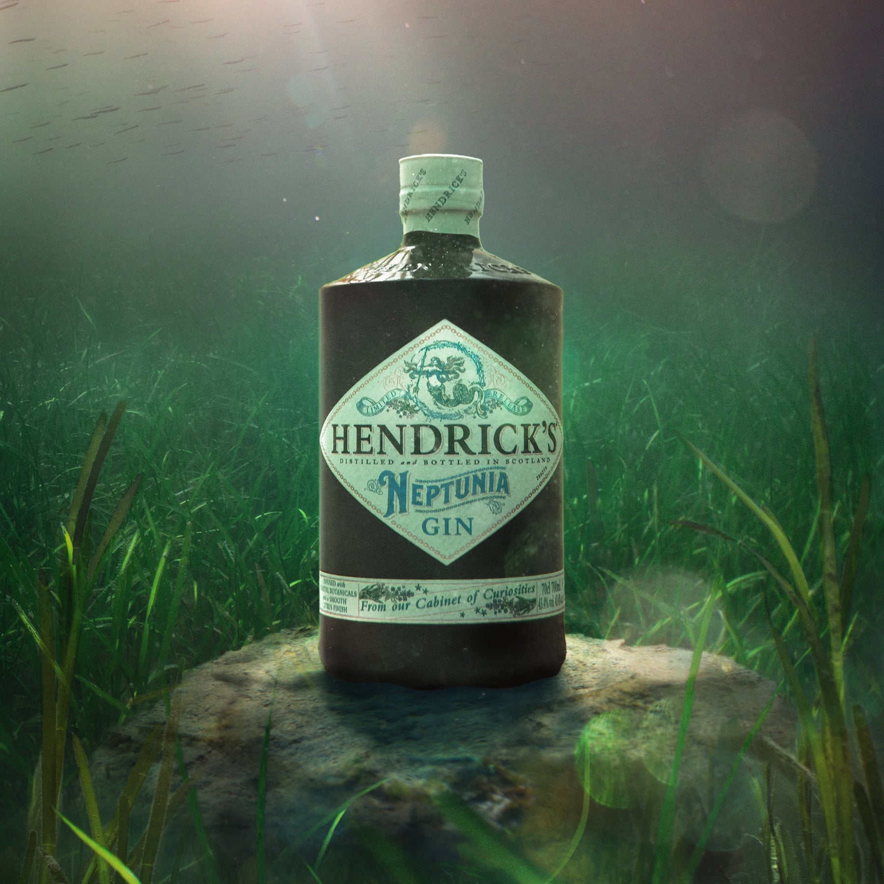 Hendrick's Gin Neptunia